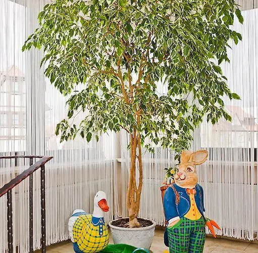 ホテル メリアン ローテンブルク 3*